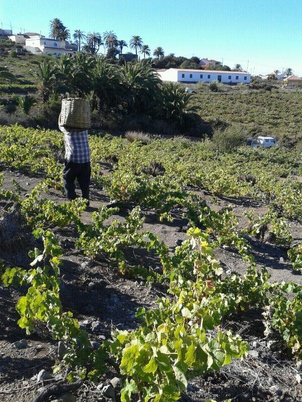 Amparo Hayas Country house *