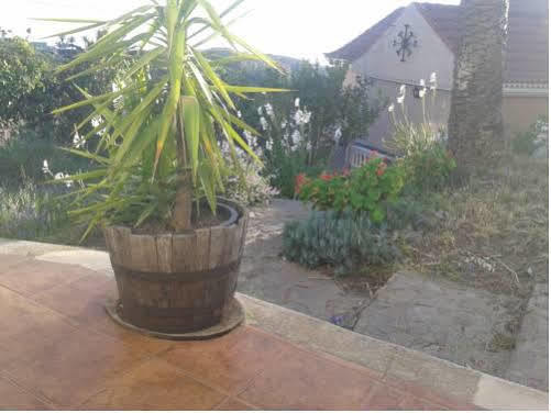Casa de Campo Amparo Hayas Valle Gran Rey